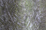 Lowgill fibreglass roof work